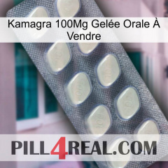 Kamagra 100Mg Gelée Orale À Vendre 08